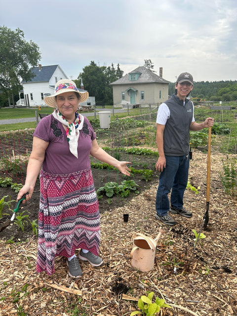 Indigenous Plants Table Talk - Arts and Heritage St. Albert