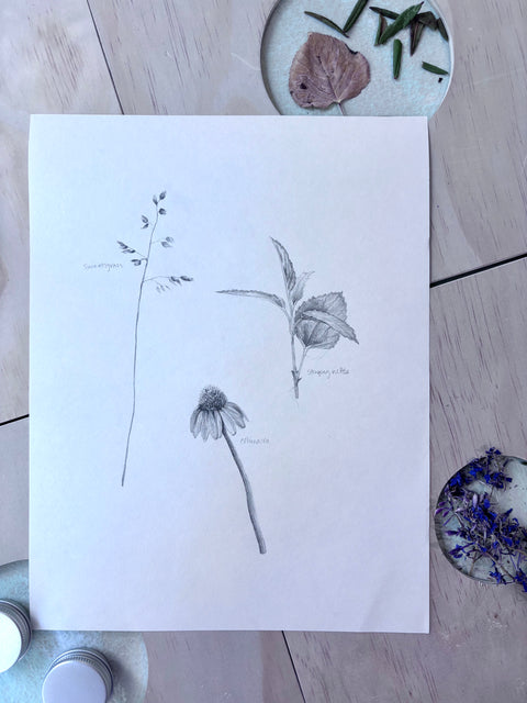 En Plein Air Oil Pastels + Sketching - Arts and Heritage St. Albert