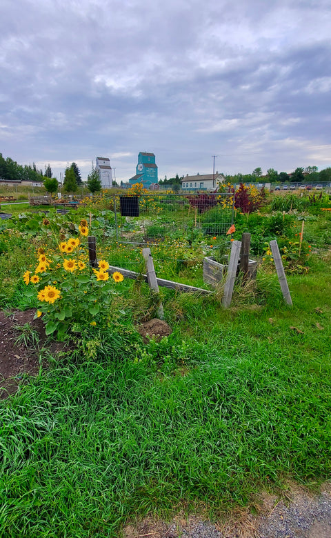 En Plein Air Oil Pastels + Sketching - Arts and Heritage St. Albert