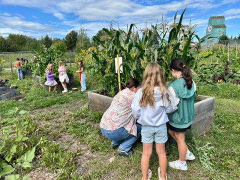 Guides + Scouts (Heritage) - Arts and Heritage St. Albert