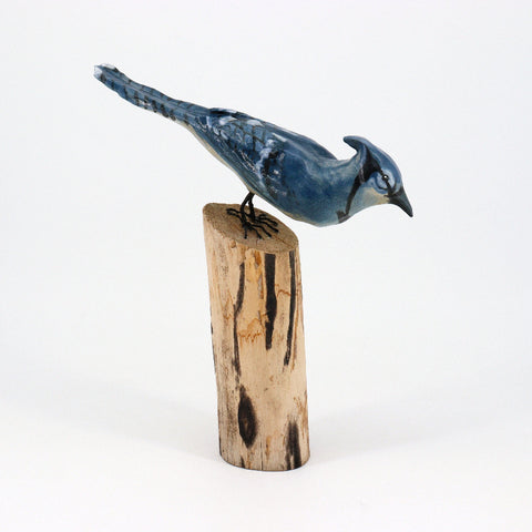 Ceramic Blue Jay Sculpture - Arts and Heritage St. Albert