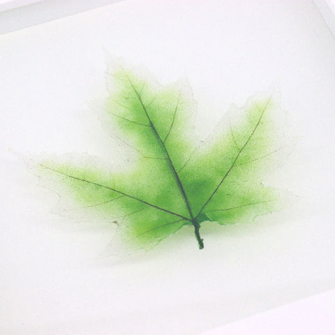 Handcrafted Glass Maple Leaf - Arts and Heritage St. Albert
