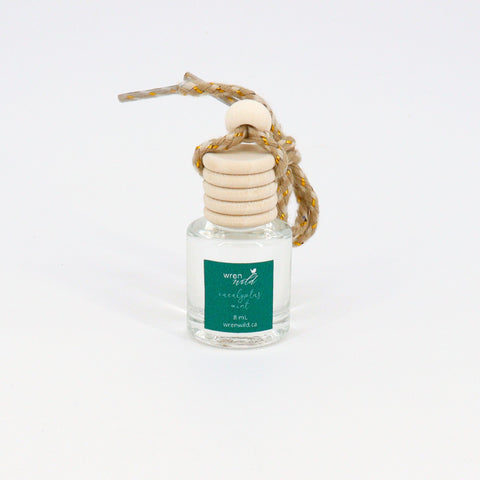 'Eucalyptus Mint' Hanging Diffuser