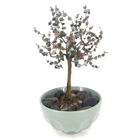 Fancy Jasper Bonsai - Arts and Heritage St. Albert