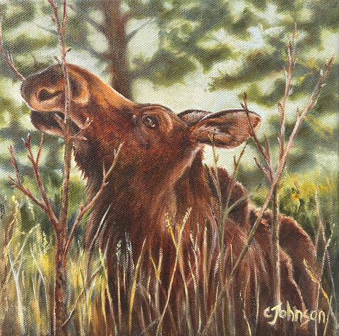 Twig Eater - Arts and Heritage St. Albert