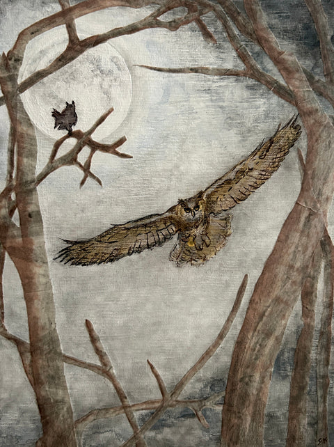 Silent Night Flight