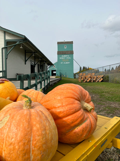 Harvesting, Preserving + Fall Clean-up - Arts and Heritage St. Albert