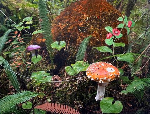 Canvas + Poetry – Words inspired by art - Arts and Heritage St. Albert