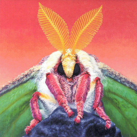 'Animals' Expressive Animal Portrait Art Cards by Robin Good Not Just a Phase - Arts and Heritage St. Albert