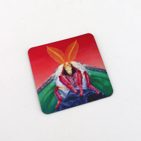 Expressive Animal Portrait Magnets by Robin Good Not Just a Phase - Arts and Heritage St. Albert