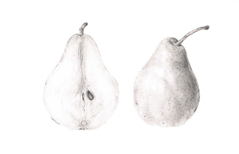 Botanical Series Art Cards by Crystal Driedger Pear Study - Arts and Heritage St. Albert