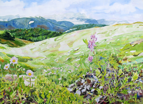 Hedysarum alpinum on the Cardinal Divide - Arts and Heritage St. Albert