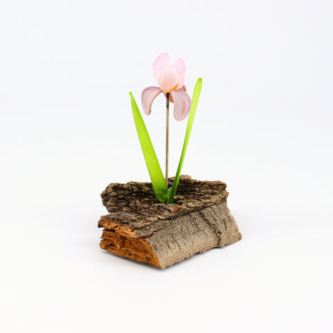 Handcrafted Glass Soft Pink Iris Flower Sculpture