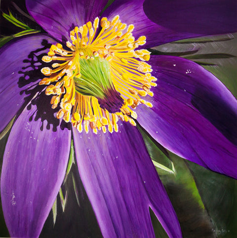 Floral Series Art Cards by Memory Roth Prairie Crocus, 5.5" x 5.5" - Arts and Heritage St. Albert