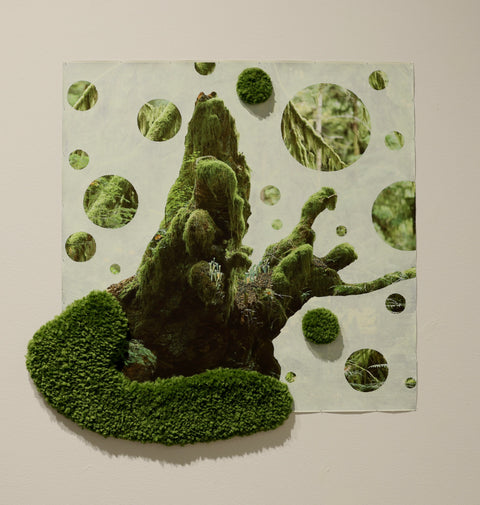 A Forest of Coexistence - Arts and Heritage St. Albert