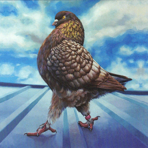 'Birds' Expressive Animal Portrait Art Cards by Robin Good Short King - Arts and Heritage St. Albert