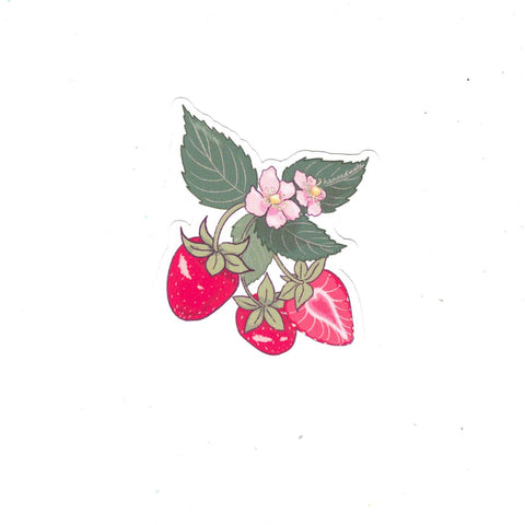 Stickers by Hanna Dotzenroth Strawberries - Arts and Heritage St. Albert
