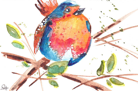 'Bird Series' 4 x 6 Original Art Cards by Sabine Hahnel