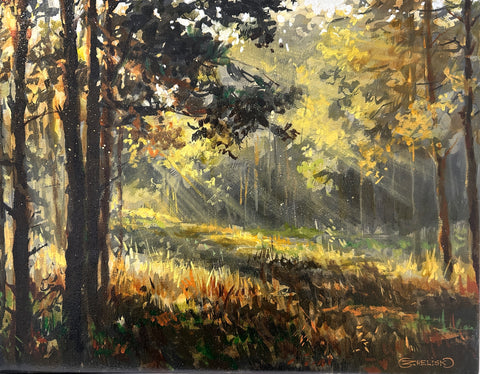 Sun Rays - Arts and Heritage St. Albert