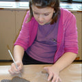 Canadian Beaver - Arts and Heritage St. Albert
