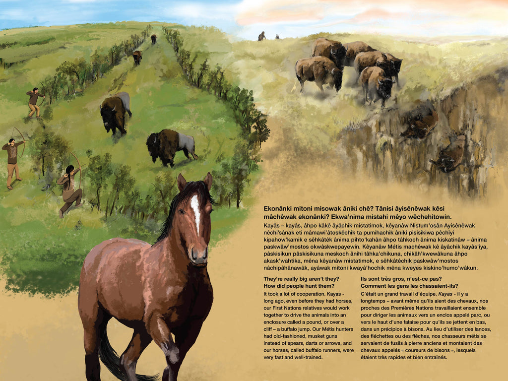 First Nations Buffalo Hunting | Arts and Heritage Foundation St. Albert