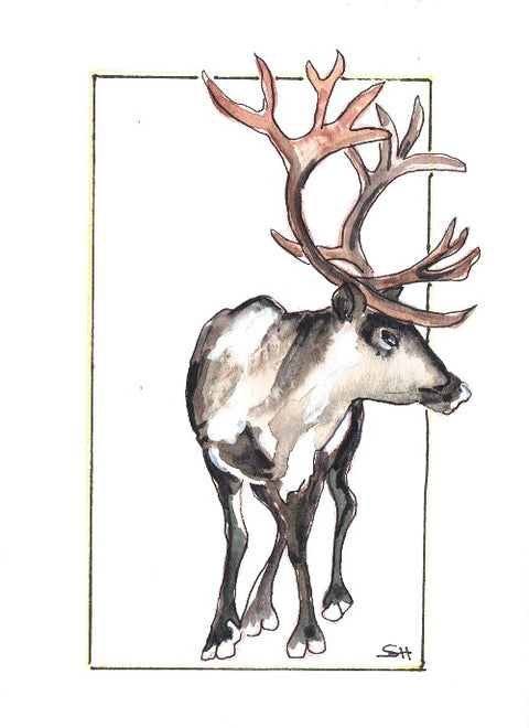 'Animal Series' Original Art Cards