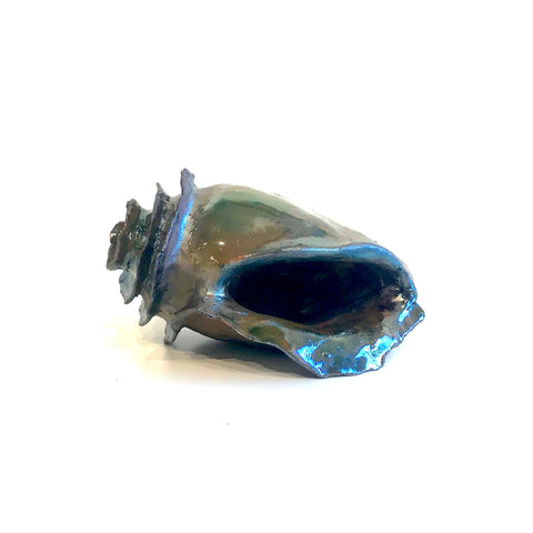 Shell - Small (Raku)