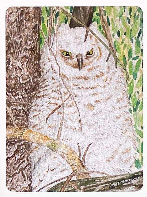 Gerald Delorme Art Cards Set 1