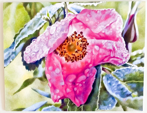 Susan Casault Art Cards Wild Rose - Arts and Heritage St. Albert
