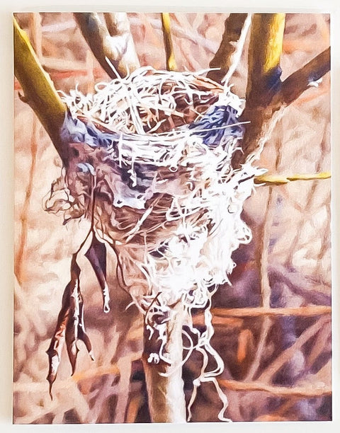 Susan Casault Art Cards Nest - Arts and Heritage St. Albert