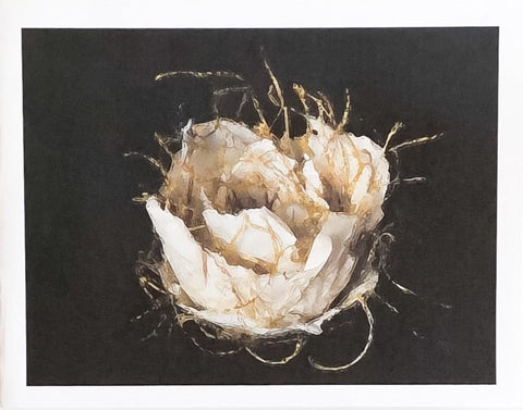 Teresa Stieben Art Cards Nest-05 - Arts and Heritage St. Albert