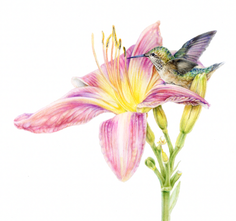 "Botanical Series" Art Prints by Crystal Driedger
