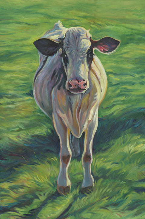 Cow Series Art Cards by Crystal Driedger