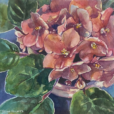 Watercolour African Violet