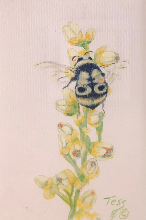All A Buzz Bumblebee