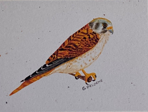 Gerald Delorme Art Cards Set 2