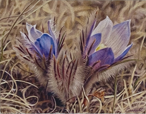 Susan Casault Art Cards