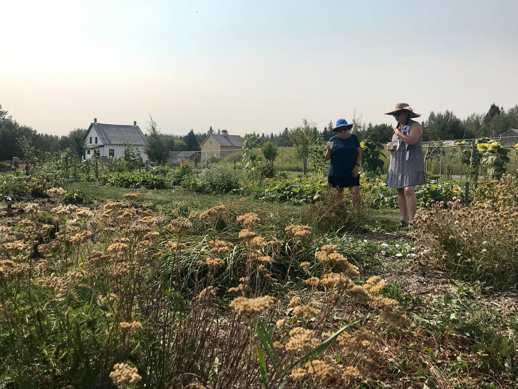 Land-Based Learning Opportunities | Arts and Heritage Foundation St. Albert